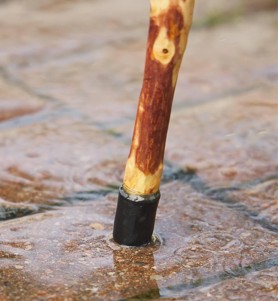 Rubber/Brass Cane Tip