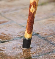 Rubber/Brass Cane Tip