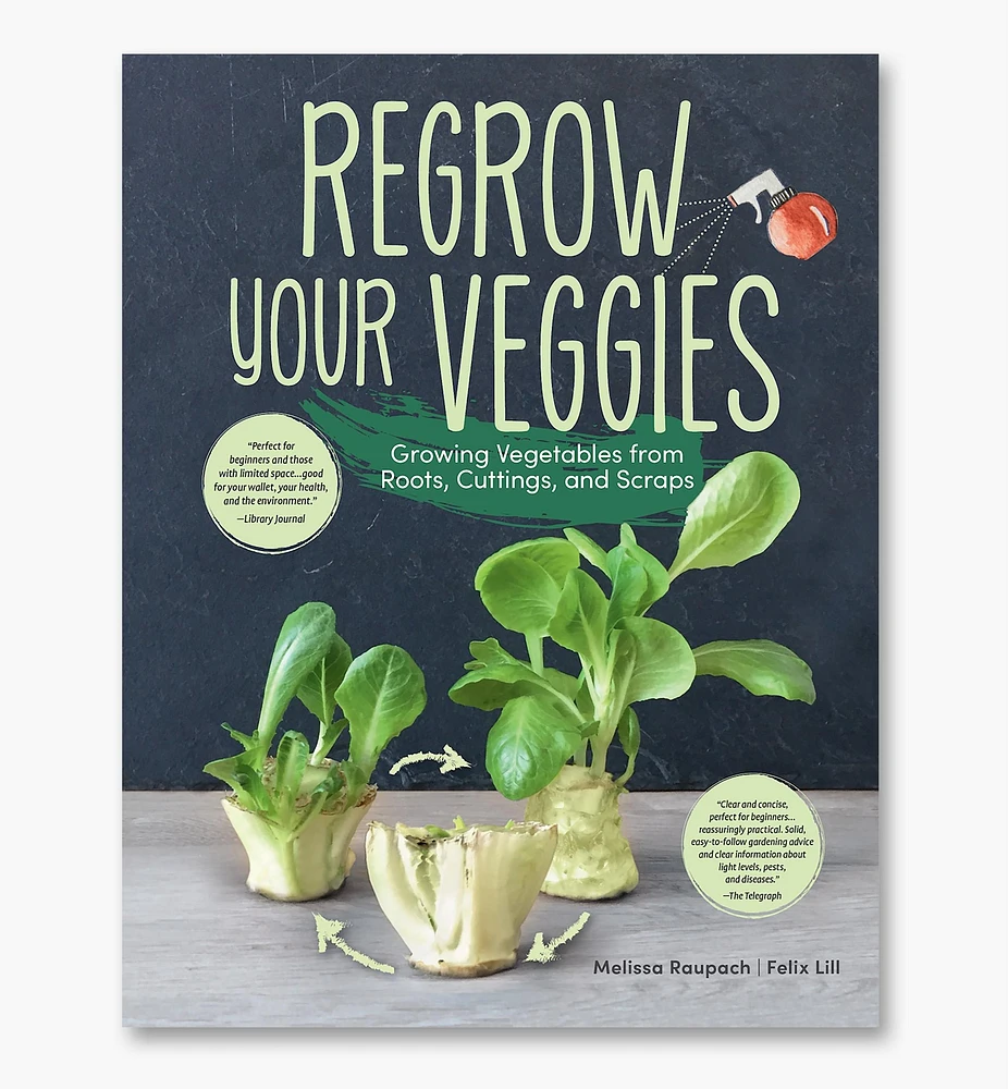 Regrow Your Veggies