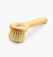 Brosse à champignons