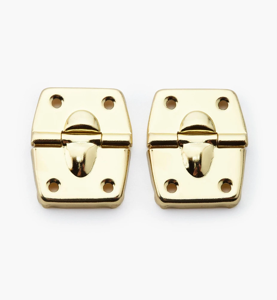 Case Hinges