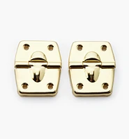 Case Hinges