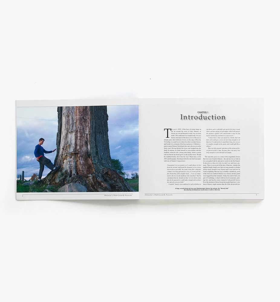Ontario's Old-Growth Forests