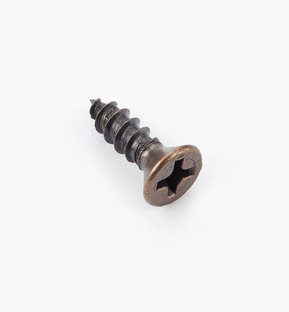 Finished Steel Screws