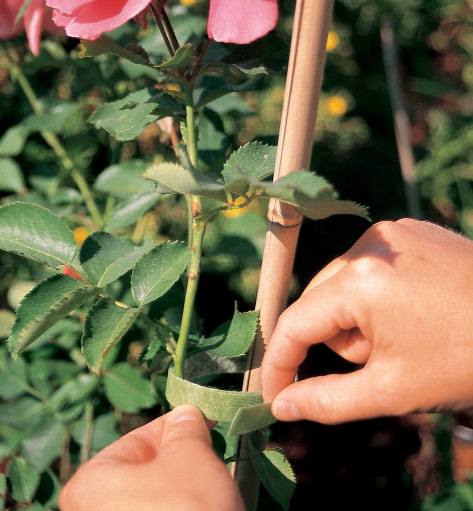Ruban attache-plantes VELCRO®