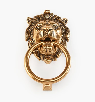 Lion's Head Knocker