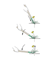 Lee Valley Dandelion Diggers
