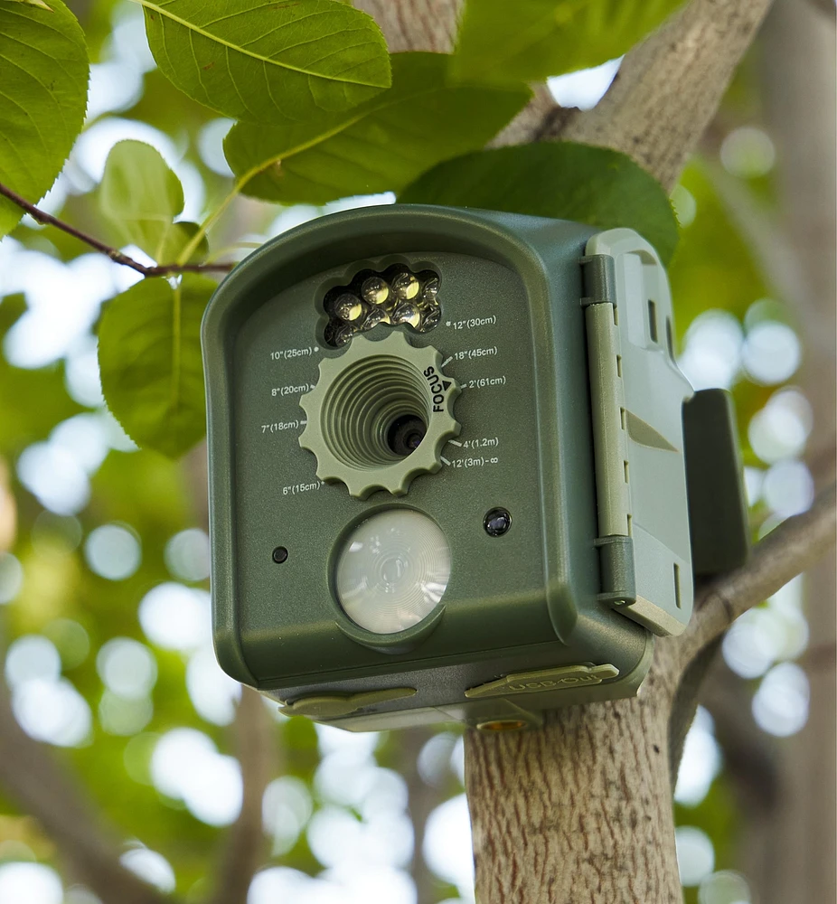 BirdCam