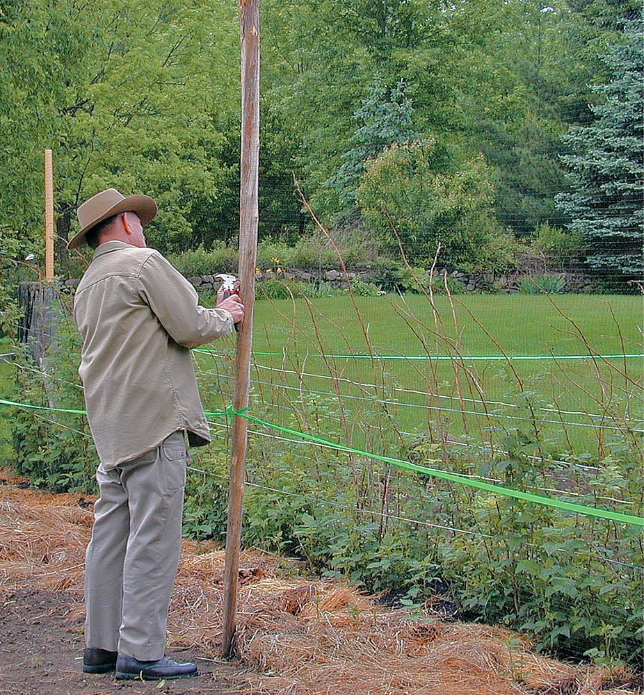 Deer Fence