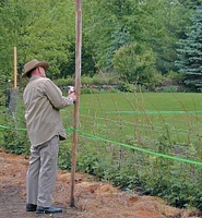 Deer Fence