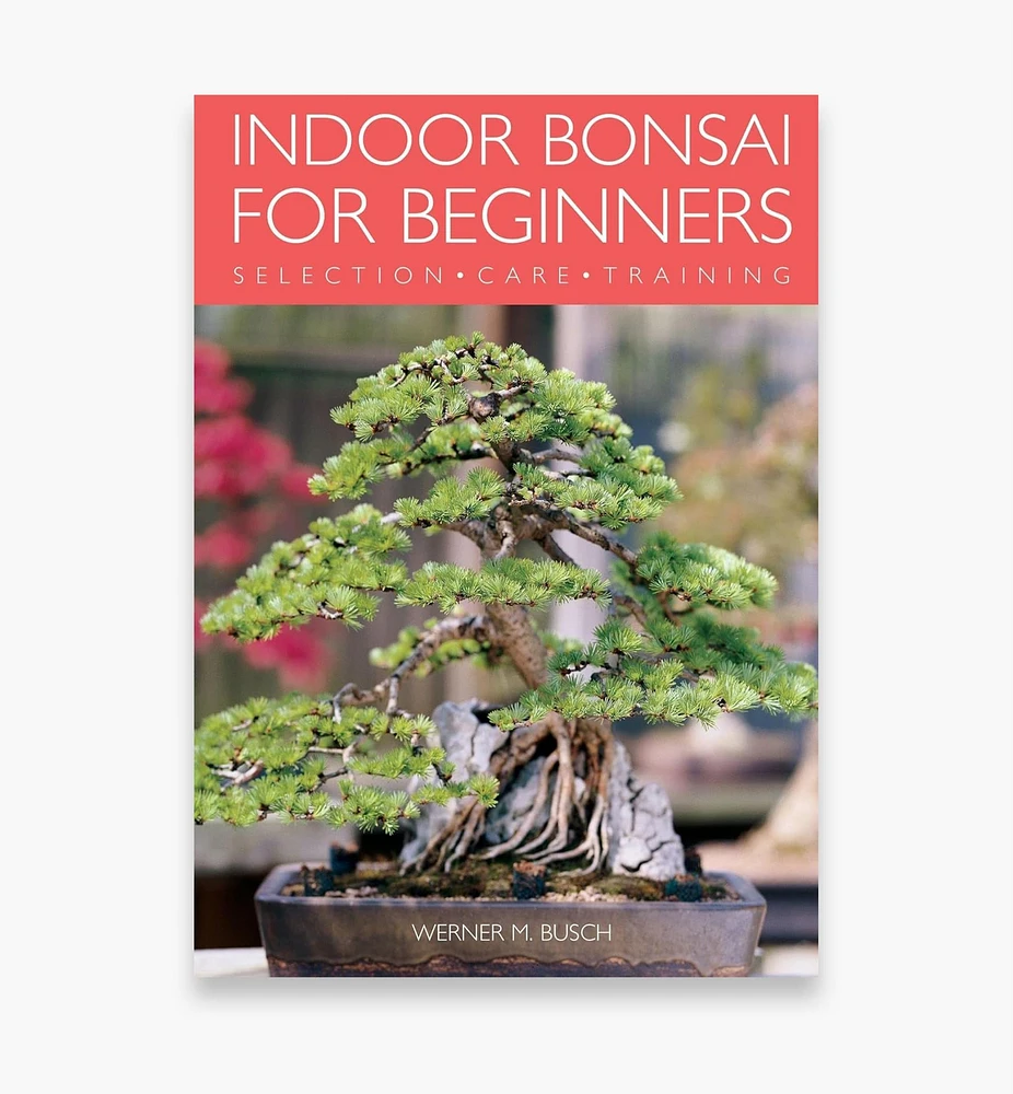 Indoor Bonsai for Beginners