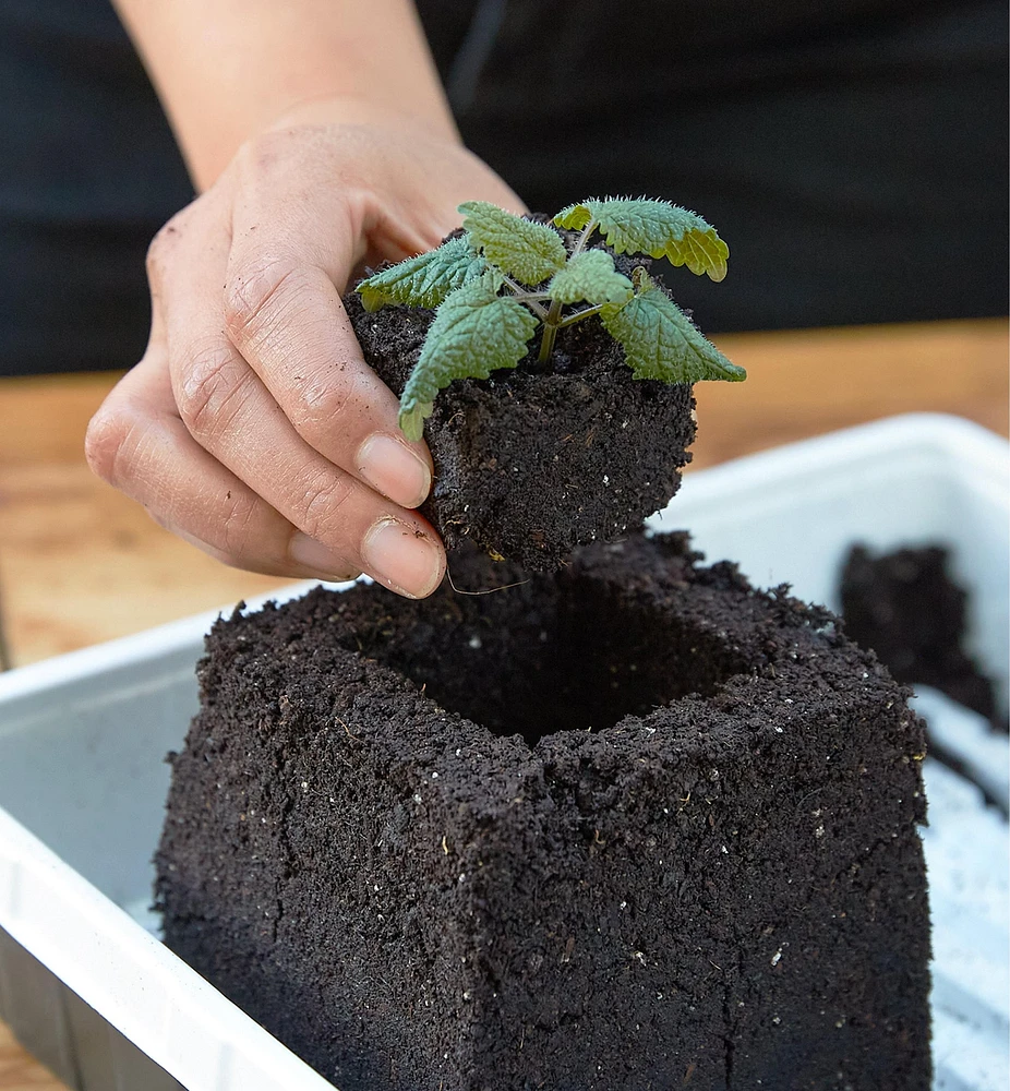 Large Soil Blocker