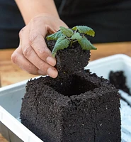 Large Soil Blocker