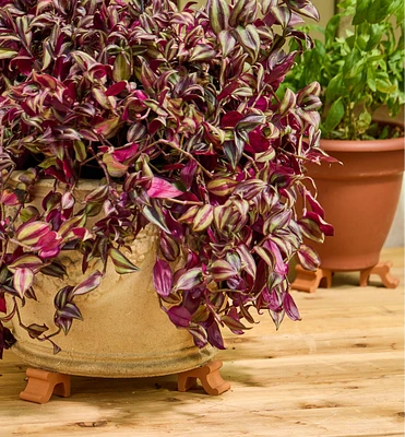 Terra Cotta Pot Feet