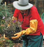 Gants d'élagage