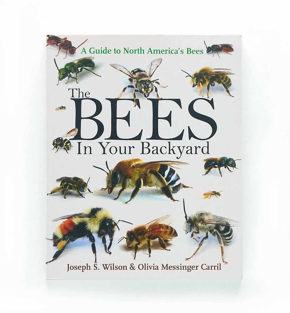 The Bees in Your Backyard