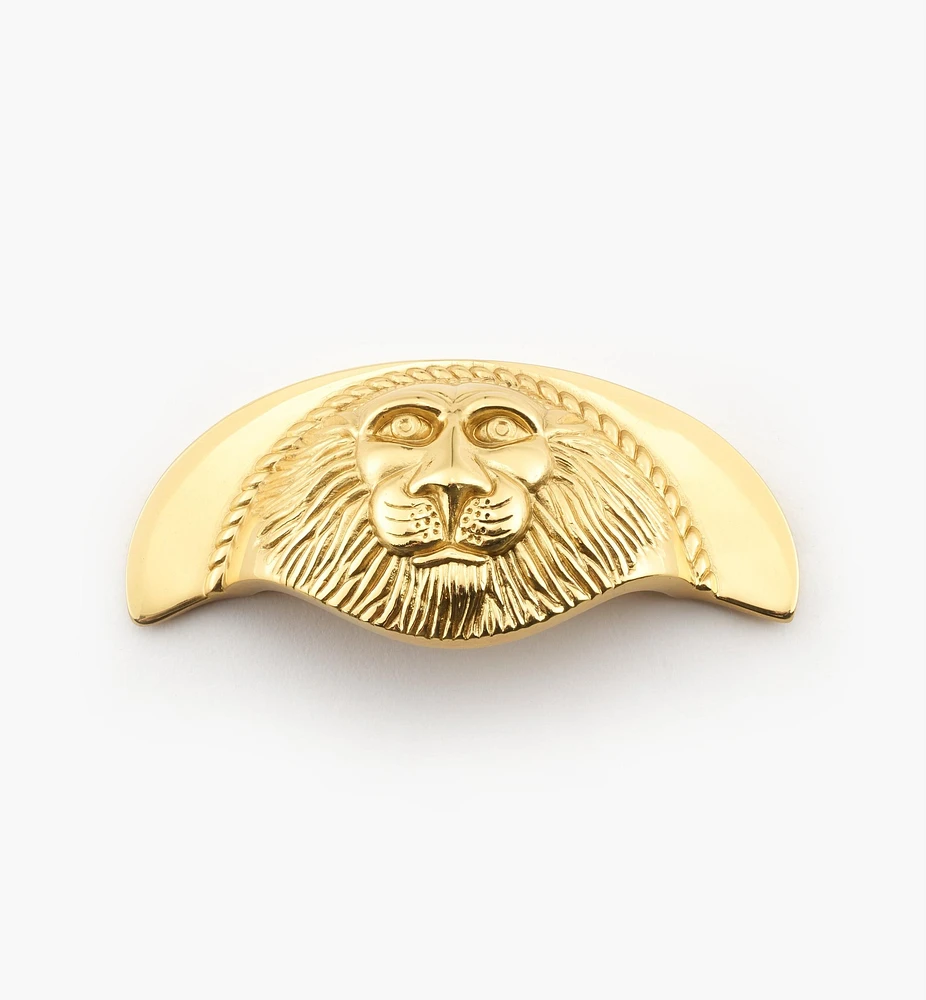 Poignée à tête de lion