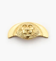 Poignée à tête de lion