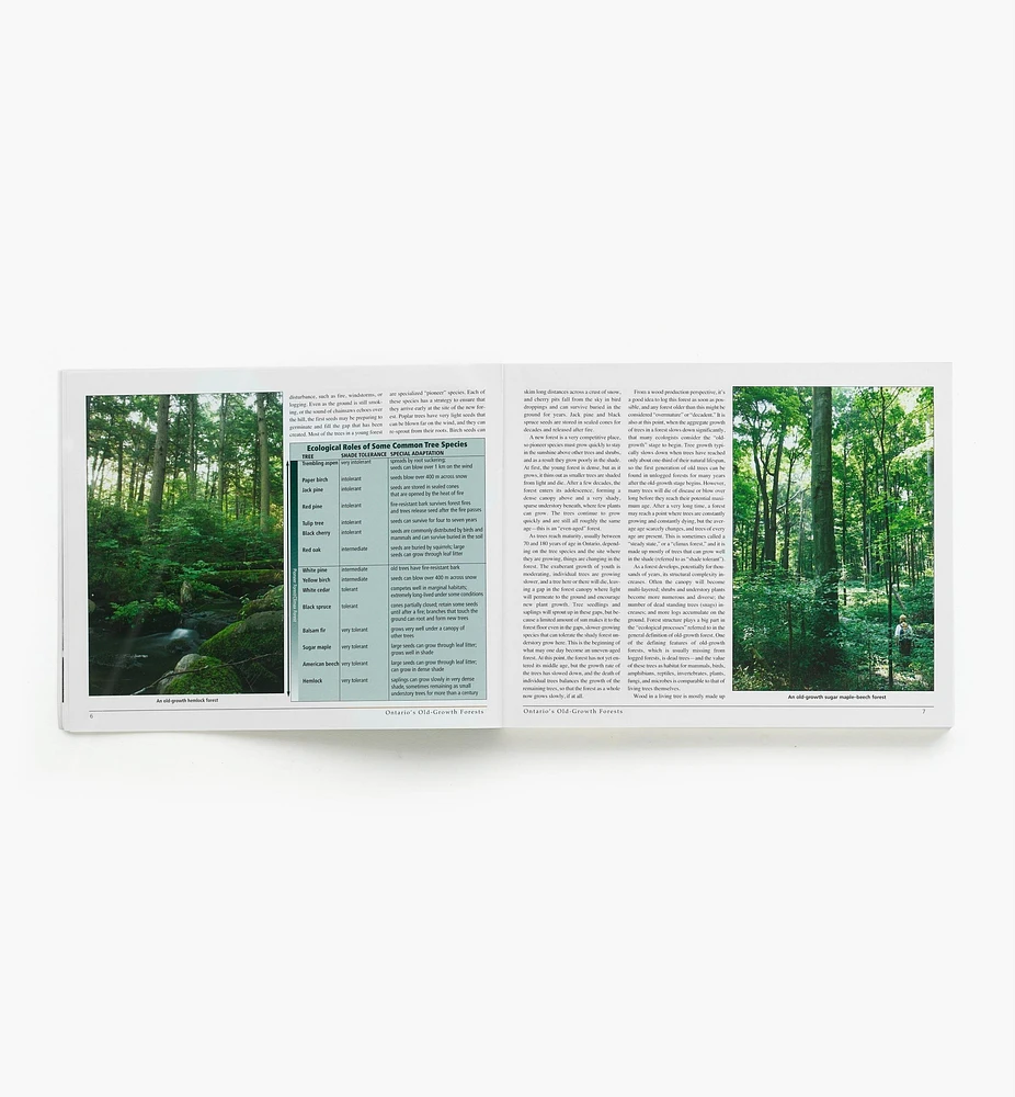 Ontario's Old-Growth Forests