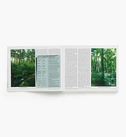 Ontario's Old-Growth Forests