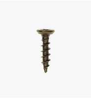 Antique Brass Hinge Screws
