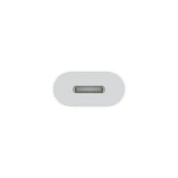 USB-C to Lighting Adapter