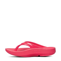 Women's Oolala Flip Flop