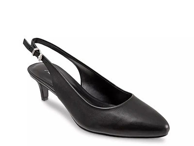 Keely Pump
