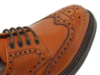 Titus Wingtip Oxford