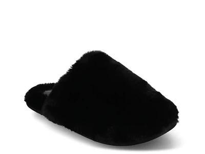 Jayde Slipper