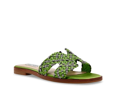 Hayden Sandal