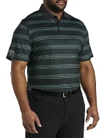 Striped Polo Shirt