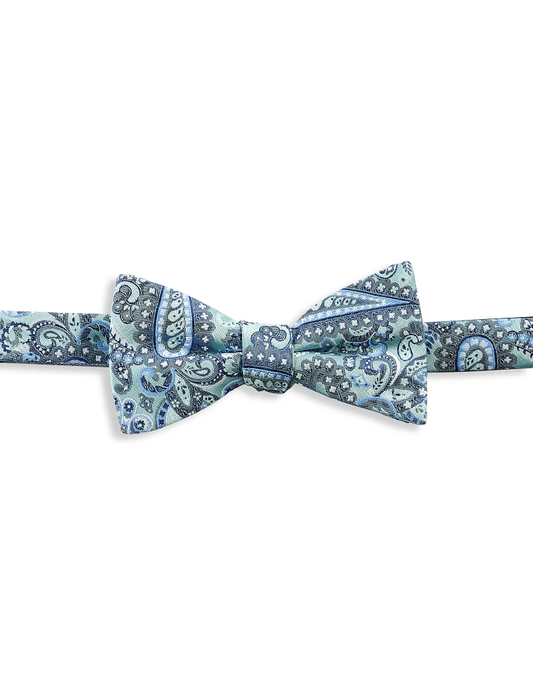Synrgy Spring Paisley Bow Tie