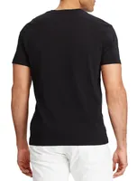 Classic Fit V-Neck T-Shirt