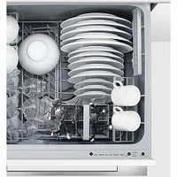 Fisher & Paykel DD24STI9_N 24 inch DishDrawer Dishwasher | Electronic Express