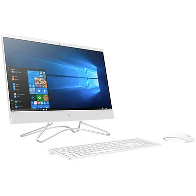 HP 21.5 inch Celeron, 4GB, 1 TB HDD, Windows 10 All-in-One Computer | Electronic Express