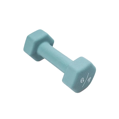 6 lb Hex Dumbbell | Electronic Express