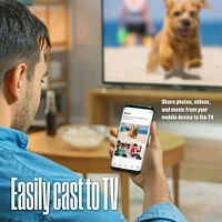 Westinghouse 43 inch Full HD Smart Roku TV | Electronic Express