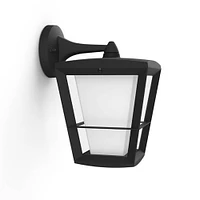 Econic Outdoor Wall Light - Black | Electronic Express