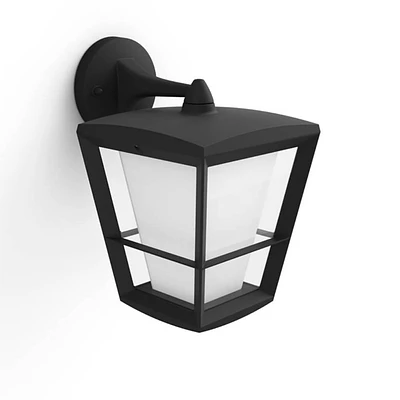 Econic Outdoor Wall Light - Black | Electronic Express