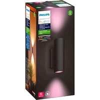 Hue White & Color Ambiance Appear 1200-lumen Wall Lantern - Black | Electronic Express