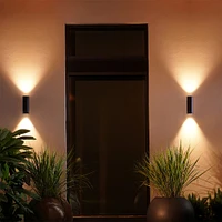 Hue White & Color Ambiance Appear 1200-lumen Wall Lantern - Black | Electronic Express