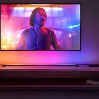 Hue Play Gradient Light Tube Large