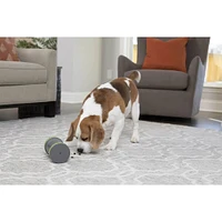 PetSafe Kibble Chase Roaming Treat Dropper | Electronic Express