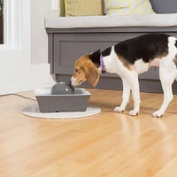 PetSafe Drinkwell Seascape Pet Fountain | Electronic Express