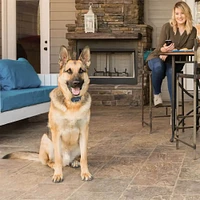 PetSafe SMART DOG Trainer | Electronic Express