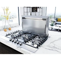 Zephyr 30 Inch Lift Telescopic Downdraft System Body Only Stainless Steel | Electronic Express