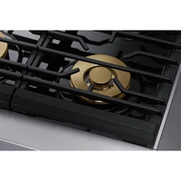 Dacor 5.9 Cu. Ft. Silver Stainless Steel Transitional Gas Range | Electronic Express