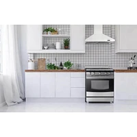 Broan 30 Inch Chimney Range Hood - White | Electronic Express