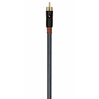 Audio Solutions ASS2010-OBX 2000 Series 10 Ft. Subwoofer Cable | Electronic Express